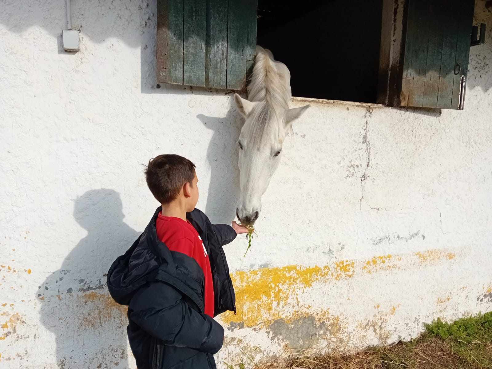 Imagem da notícia