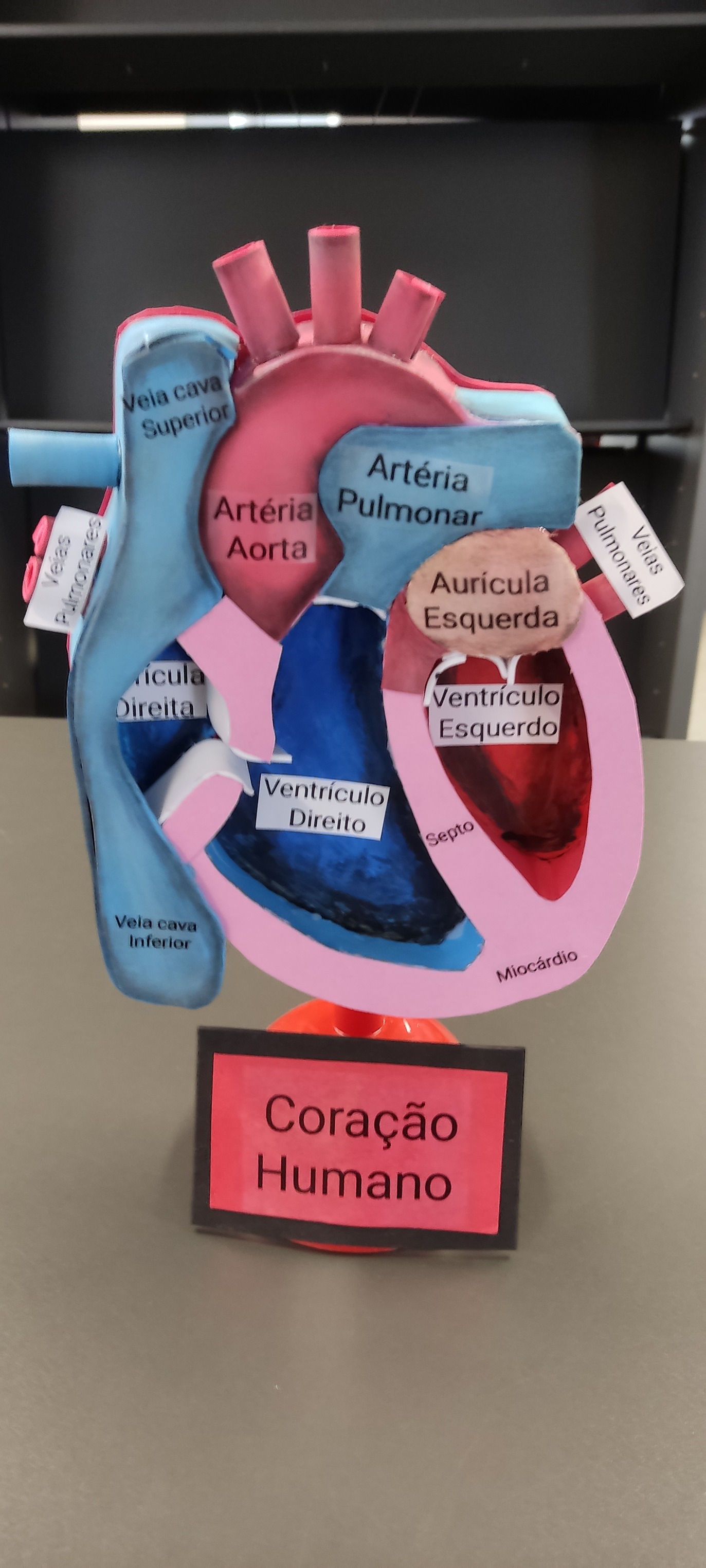 Imagem da notícia